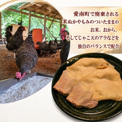 地鶏 愛媛 媛っこ地鶏 もも肉 約9kg ローカルスタンダード 愛媛 愛南