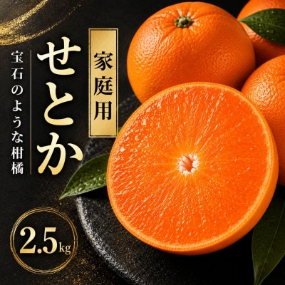 【先行予約】 せとか 2.5kg 家庭用 ハウス栽培  みかん 愛媛県 愛南町 豊田農園