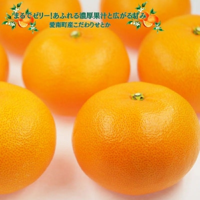 【先行予約】 せとか 2.5kg 家庭用 ハウス栽培  みかん 愛媛県 愛南町 豊田農園