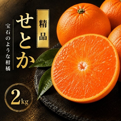 【先行予約】 せとか 2kg 精品 ハウス みかん 贈答 ギフト プレゼント 愛媛 愛南 豊田農園