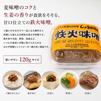 鉄火みそ120g 4パック 愛媛県 愛南町 マルヤス味噌