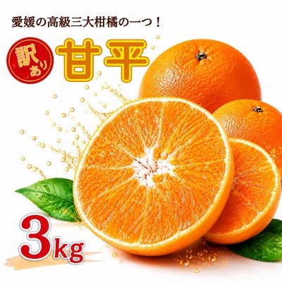 【先行予約】 訳あり 甘平 3kg サイズミックス 中山農園 愛媛県 愛南町
