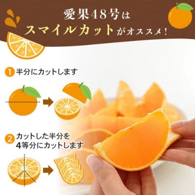 【先行予約】訳あり プリンセス 愛果48号 3kg サイズミックス 愛媛県 愛南町 清水農園