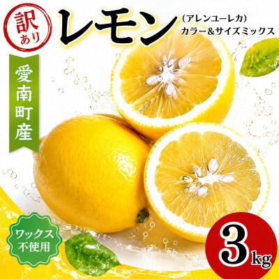【先行予約】訳あり レモン 3kg サイズ カラー ミックス 愛媛県 愛南町 清水農園