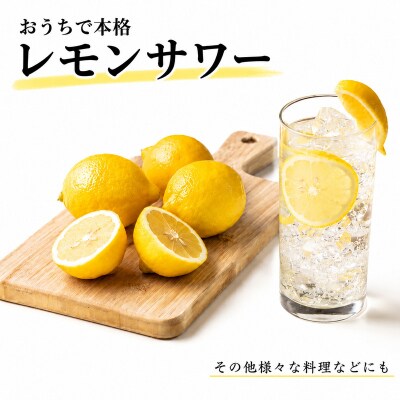 【先行予約】訳あり レモン 3kg サイズ カラー ミックス 愛媛県 愛南町 清水農園