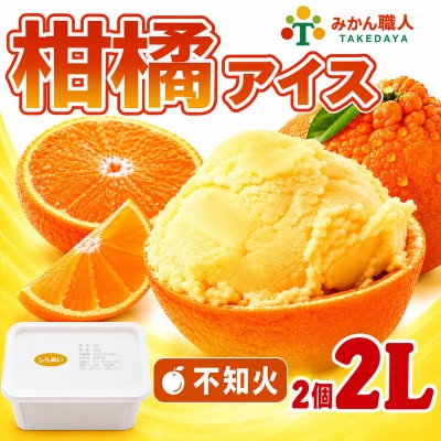 柑橘アイス 計2L(1個1000ml)【 不知火 】 愛媛県 愛南町 みかん職人武田屋