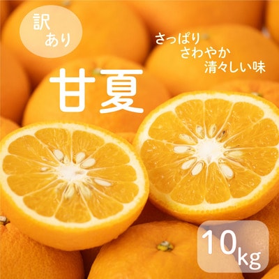 【先行受付】 訳あり減農薬 甘夏 10kg 2027年2月中旬～ 愛南フルーツ 愛南町