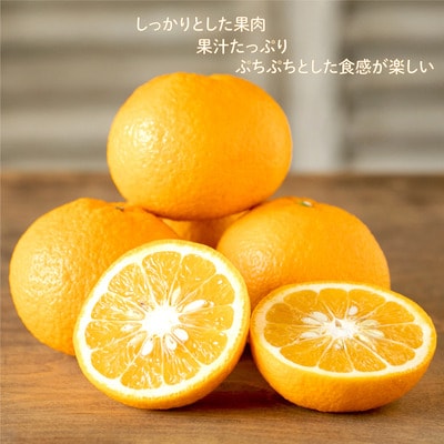 【先行受付】 訳あり減農薬 甘夏 10kg 2027年2月中旬～ 愛南フルーツ 愛南町