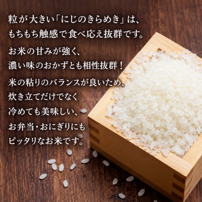 先行予約 新米 令和8年産 にじのきらめき 10kg 愛南町産 マルハラファーム