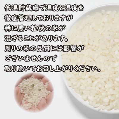 先行予約 新米 令和8年産 にじのきらめき 10kg 愛南町産 マルハラファーム