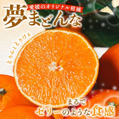 先行受付【紅まどんなと同品種】特選 夢まどんな3kg 訳あり みかん 愛南町 みかん職人武田屋