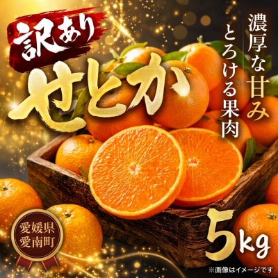 【 先行予約: 限定200箱】 訳あり せとか 5kg エニシトラス 発送: 2月下旬より順次発送