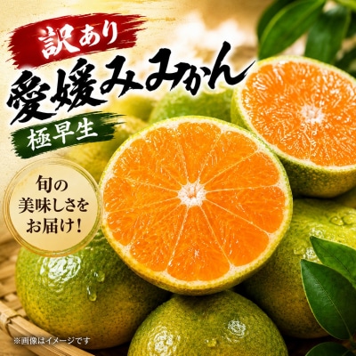 先行予約  訳あり 愛媛みかん( 温州 極早生 みかん ) 5kg 7000円 渚のみかん園