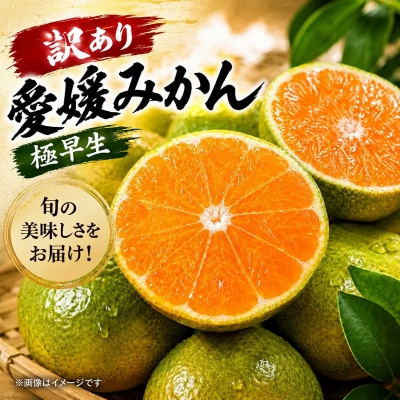 先行予約  訳あり 愛媛みかん( 温州 極早生 みかん ) 5kg 7000円 渚のみかん園