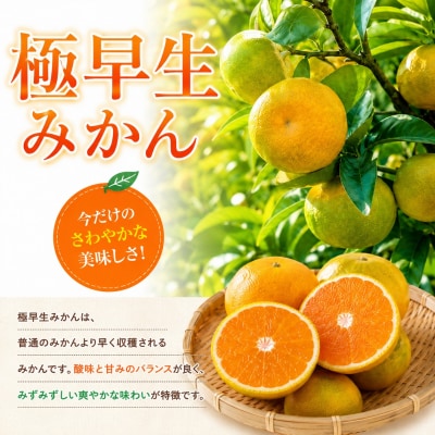 先行予約  訳あり 愛媛みかん( 温州 極早生 みかん ) 5kg 7000円 渚のみかん園