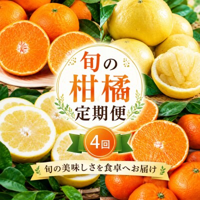 【先行予約】旬の柑橘定期便4回 訳あり 愛媛みかん まどんな 文旦 愛南ゴールド 愛南町青果市場組合