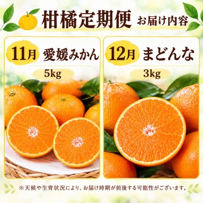 【先行予約】旬の柑橘定期便4回 訳あり 愛媛みかん まどんな 文旦 愛南ゴールド 愛南町青果市場組合