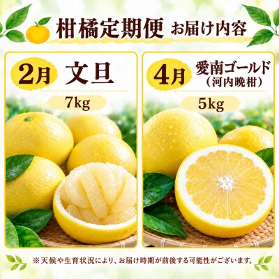 【先行予約】旬の柑橘定期便4回 訳あり 愛媛みかん まどんな 文旦 愛南ゴールド 愛南町青果市場組合