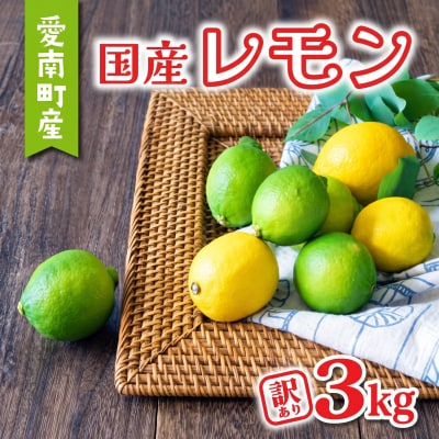 【先行予約:2026年11月上旬～発送】 訳あり レモン3kg あいなんマザーズ