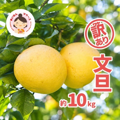 【先行予約】訳あり文旦 10kg Mサイズ以上サイズミックス あいなんマザーズ 