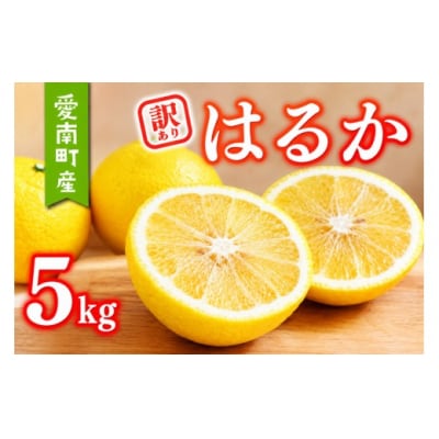 【先行予約:2027年1月上旬～発送】 訳あり はるか 5kg あいなんマザーズ 愛南町 愛媛県