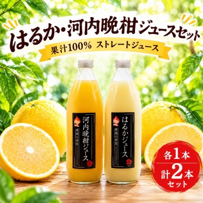 果汁100%ストレートジュース はるか河内晩柑 各1本 計2本 セット あいなんマザーズ