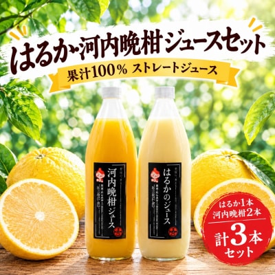 果汁100%ストレートジュース はるか1本河内晩柑2本 計3本 あいなんマザーズ