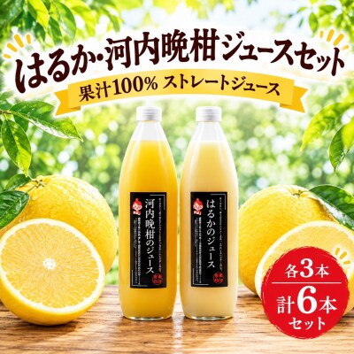果汁100% ストレートジュース はるか河内晩柑 各3本 計6本 あいなんマザーズ