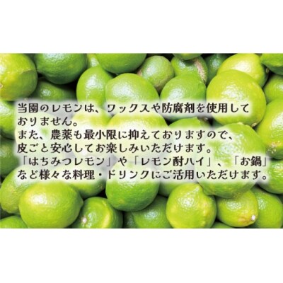 【先行予約:2026年11月上旬～発送】 訳あり レモン5kg あいなんマザーズ