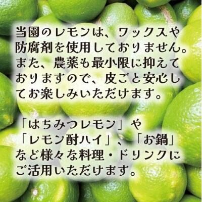 【先行予約】 訳ありレモン3kg + レモン果汁 300ml セット あいなんマザーズ