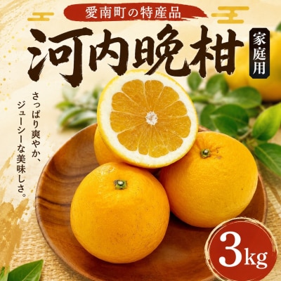家庭用 河内晩柑 3kg フジ・アグリフーズ 愛媛県 愛南町