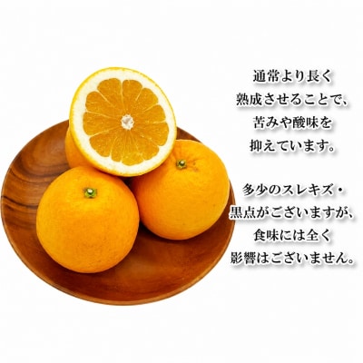 家庭用 河内晩柑 3kg フジ・アグリフーズ 愛媛県 愛南町