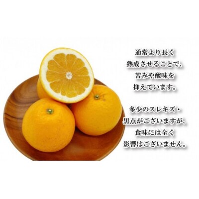 家庭用 河内晩柑 3kg 柑橘 愛媛  フジ・アグリフーズ 国産 フルーツ
