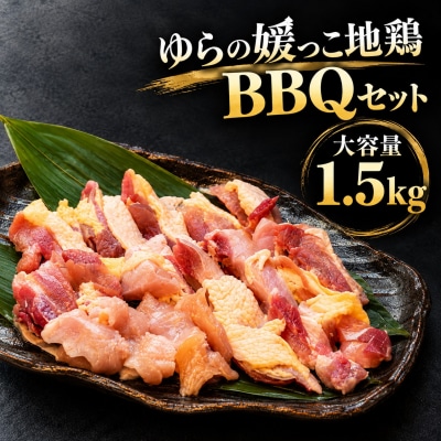 地鶏 由良 媛っこ地鶏 1.5kg BBQ バーベキュー セット 鶏 軍鶏 愛媛 愛南 一番町のゆら
