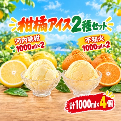 柑橘アイス 計4L(1個1000ml)【 不知火 河内晩柑 】 愛媛県 愛南町 みかん職人武田屋