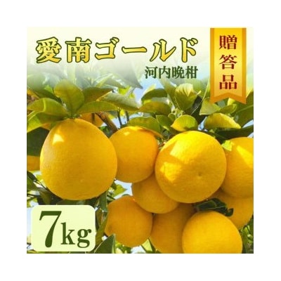 贈答用 愛南ゴールド(河内晩柑)約7kg 前田ファーム