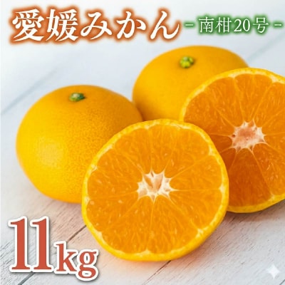 愛媛みかん 南柑 11kg