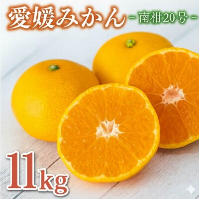 愛媛みかん 南柑 11kg エニシトラス