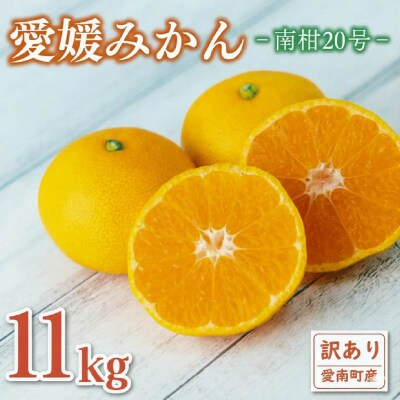 訳あり 愛媛みかん 南柑20号 11kg エニシトラス