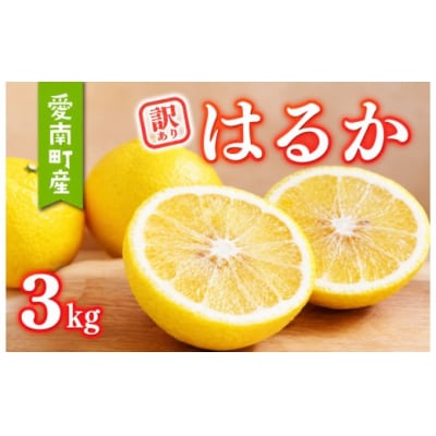 【先行予約:2027年1月上旬～発送】 訳あり はるか 3kg あいなんマザーズ 愛南町 愛媛県