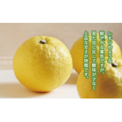【先行予約:2027年1月上旬～発送】 訳あり はるか 3kg あいなんマザーズ 愛南町 愛媛県