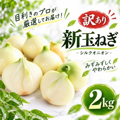 【先行予約】訳あり 新たまねぎ 2kg シルクオニオン サイズミックス 愛南町青果市場