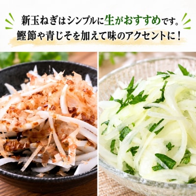 【先行予約】訳あり 新たまねぎ 2kg シルクオニオン サイズミックス 愛南町青果市場