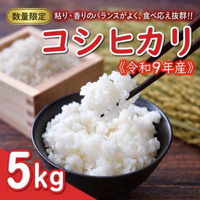 先行予約 新米 令和9年産 コシヒカリ 5kg お米 白米 精米 田中均 愛南町 愛媛県