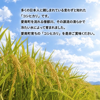 先行予約 新米 令和9年産 コシヒカリ 5kg お米 白米 精米 田中均 愛南町 愛媛県