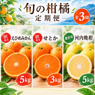 【先行予約】旬の柑橘定期便3回 訳ありみかん5kg・訳ありせとか3kg・贈答河内晩柑5kg 吉田農園
