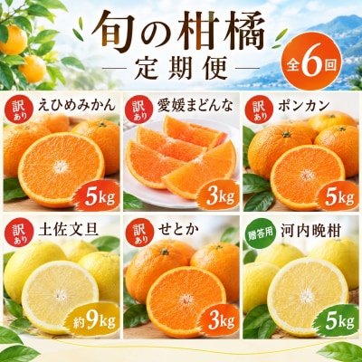 【先行予約】旬の柑橘定期便6回 みかん まどんな ポンカン 土佐文旦 せとか 河内晩柑 吉田農園