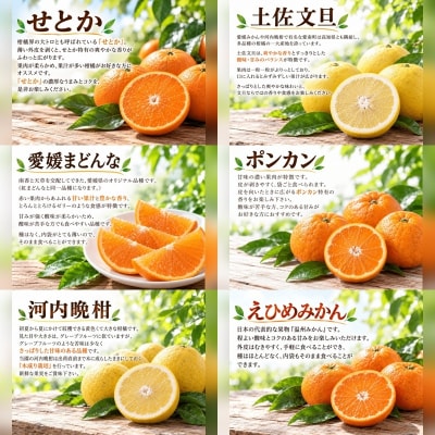 【先行予約】旬の柑橘定期便6回 みかん まどんな ポンカン 土佐文旦 せとか 河内晩柑 吉田農園