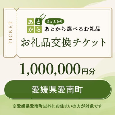 愛媛県愛南町　お礼品交換チケット　1,000,000円分
