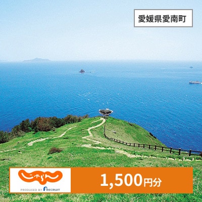 【じゃらんふるさと納税クーポン】 愛媛県愛南町でつかえる1,500円 クーポン